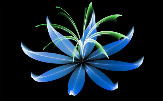 1245585 (a): :2560x1600